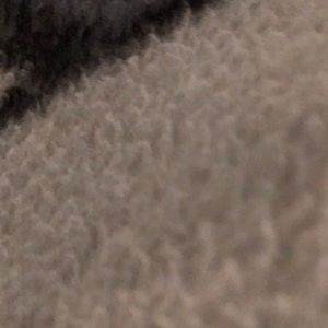 Meet your Posher, Ralph